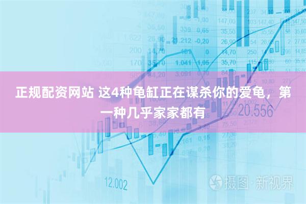 正规配资网站 这4种龟缸正在谋杀你的爱龟，第一种几乎家家都有